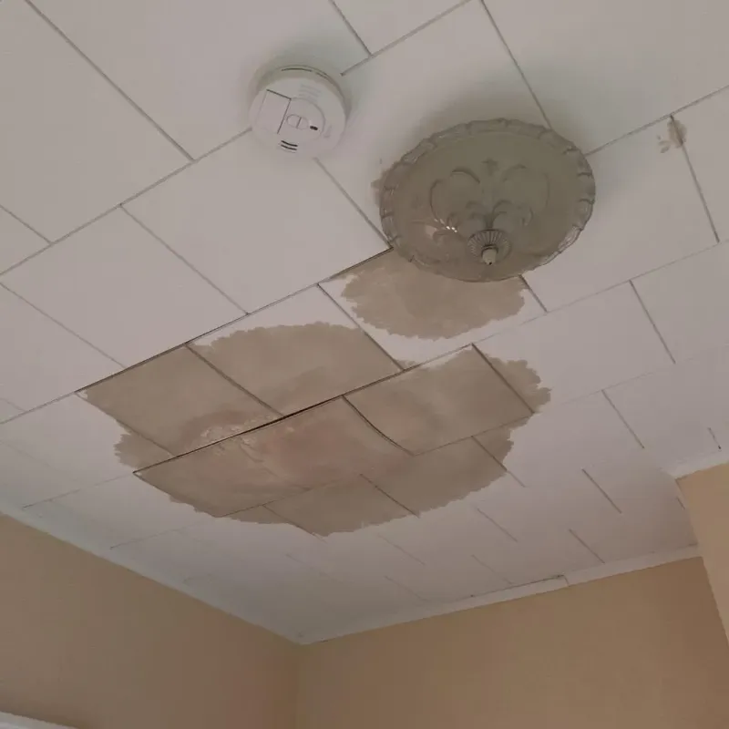 Ceiling Water Damage Repair in Jackson County, OH