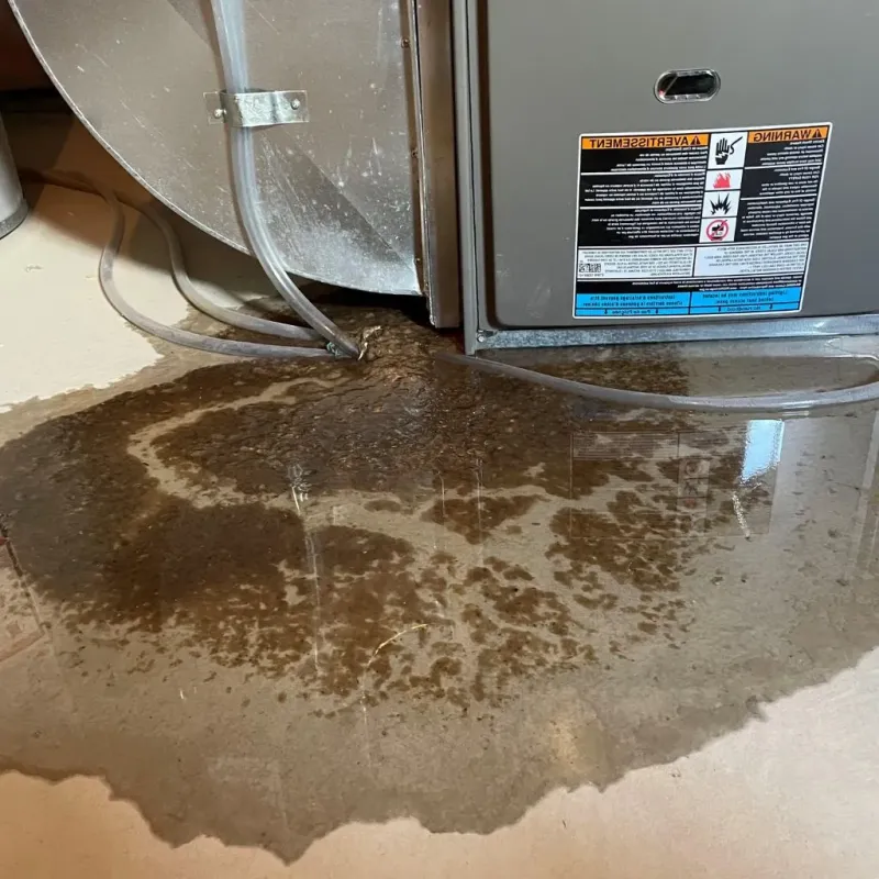 Pipe Burst and Leak Restoration in Jackson County, OH