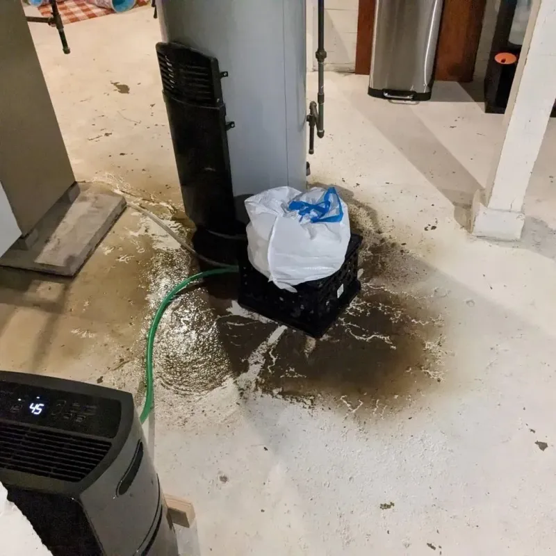 Sewage Backup Cleanup Service in Jackson County, OH